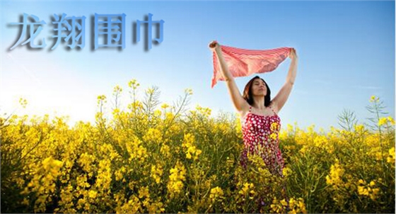 真絲圍巾 真絲圍巾