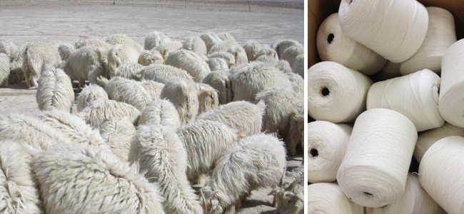 羊絨圍巾 圍巾批發(fā) 羊絨圍巾 圍巾批發(fā)