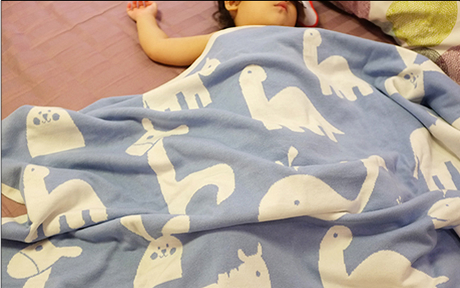 毯子被套,毯子多少錢 羊毛毯圖